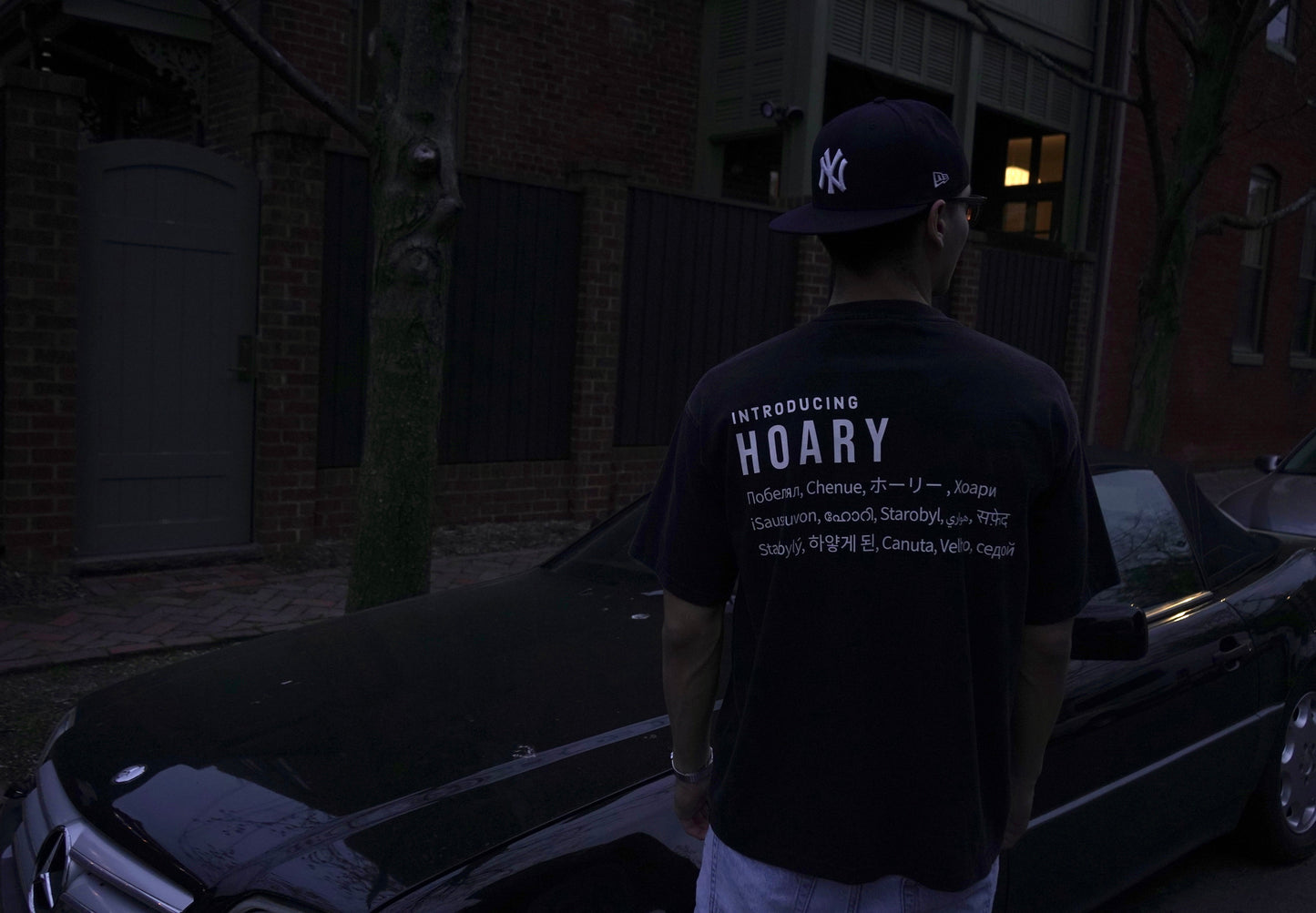 INTRODUCING HOARY